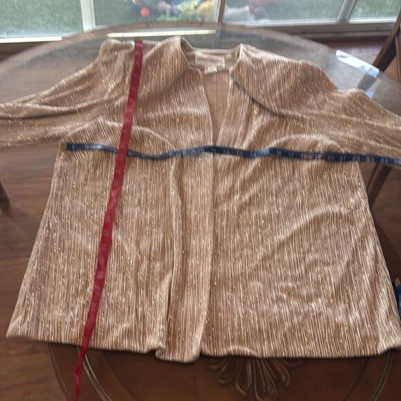 David's Bridal Cream Tan Gold Silver Maxi Dress & Long Sleeve Jacket Side Slit - Picture 13 of 13